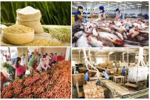Xuất khẩu nông lâm thủy sản “về đích” sớm
