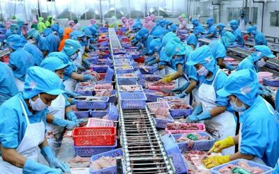 Tháng đầu năm xuất khẩu thủy sản tăng 3,3%