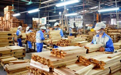 7 tháng, xuất siêu toàn ngành gỗ ước đạt 7,86 tỷ USD