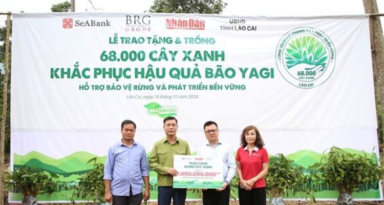 SeABank và Tập đoàn BRG chung tay trồng 68.000 cây phủ xanh gần 20ha rừng tại Lào Cai