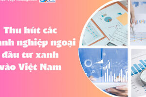 Thu hút các doanh nghiệp ngoại đầu tư xanh vào Việt Nam