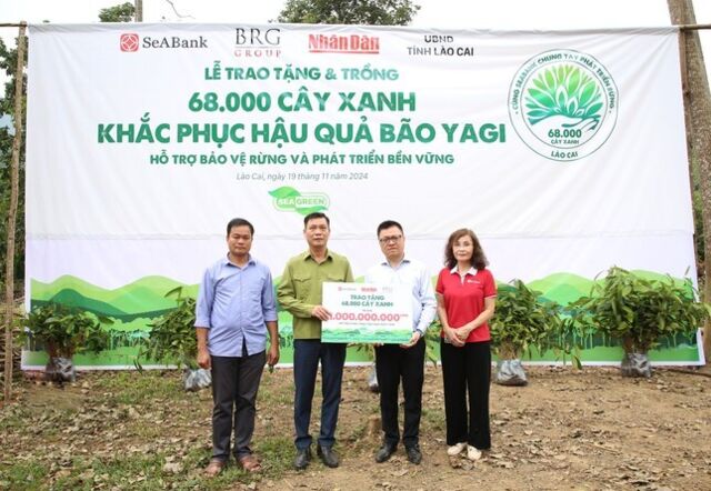 SeABank và Tập đoàn BRG chung tay trồng 68.000 cây phủ xanh gần 20ha rừng tại Lào Cai- Ảnh 1.