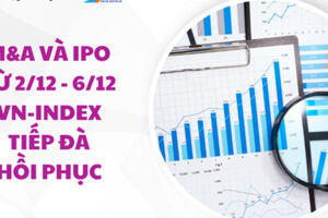 M&A và IPO (Từ 2/12 - 6/12): VN-Index tiếp đà hồi phục