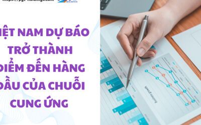 Việt Nam dự báo trở thành điểm đến hàng đầu của chuỗi cung ứng