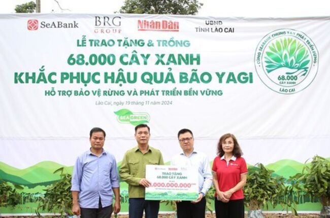 SeABank và Tập đoàn BRG chung tay trồng 68.000 cây phủ xanh gần 20ha rừng tại Lào Cai