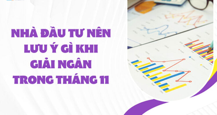 Nhà đầu tư nên lưu ý gì khi giải ngân trong tháng 11