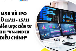 M&A và IPO (Từ 11/11 - 15/11): Chọn chiến lược đầu tư khi “VN-Index điều chỉnh”